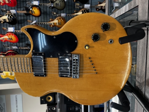 1974年製 Gibson L6s Midnight Special 厳つい 汎用ハードケース付属