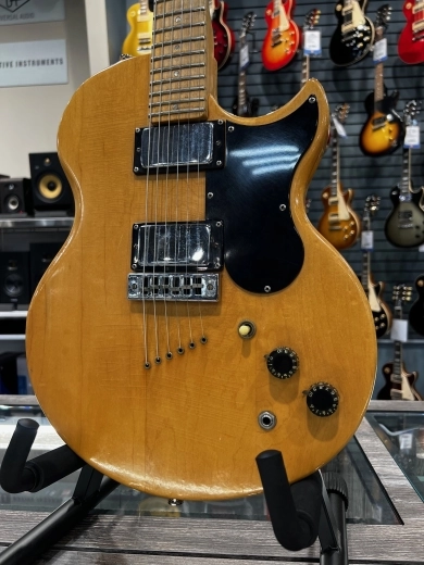 1974 GIBSON L6-S 2