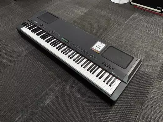 Yamaha P250 Digital Piano