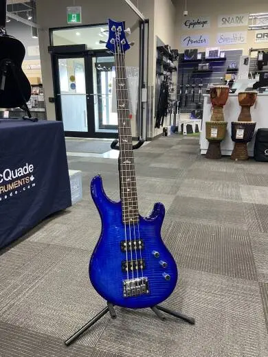 PRS Guitars - 108120::DE: