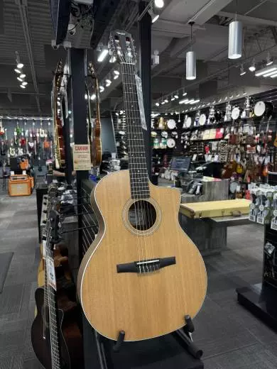 Store Special Product - Taylor Guitars - 214CE-N