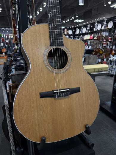 Taylor Guitars - 214CE-N