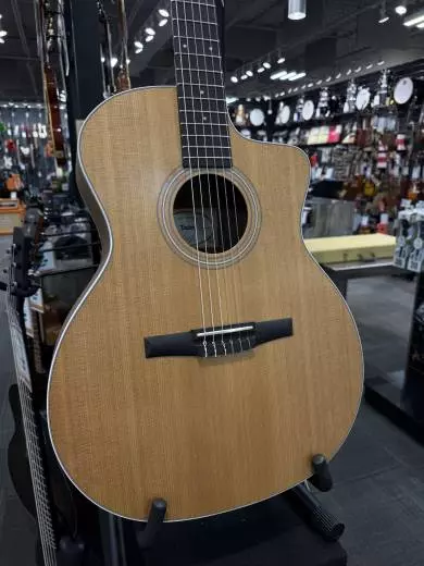 Store Special Product - Taylor Guitars - 214CE-N