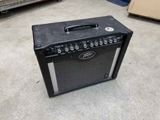 PEAVEY ENVOY 110