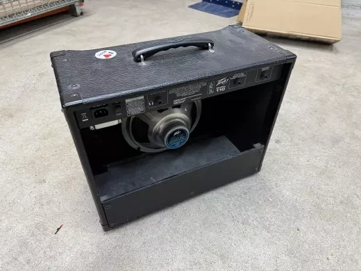 PEAVEY ENVOY 110 2
