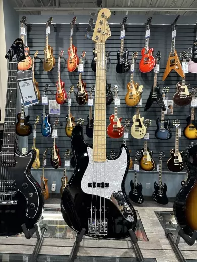 Fender - 019-7702-806