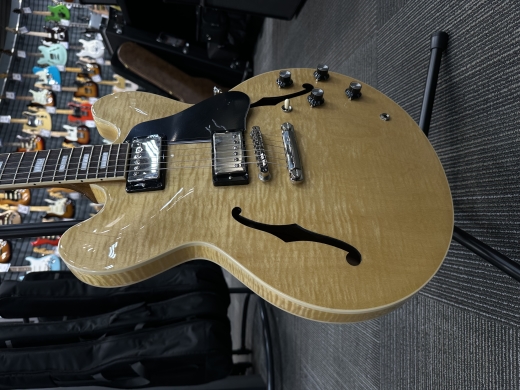 Store Special Product - Gibson - ES35F00VNNH