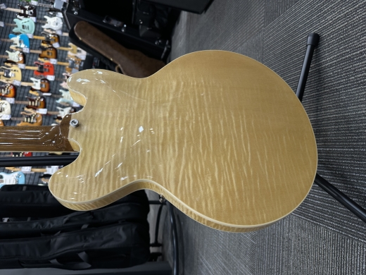 Store Special Product - Gibson - ES35F00VNNH