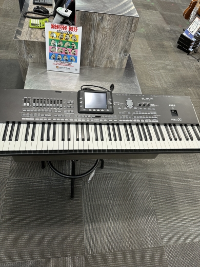 [美品] KORG PANDRA PX3T 2025年最新】px3 korgの人気アイテム - メルカリ
