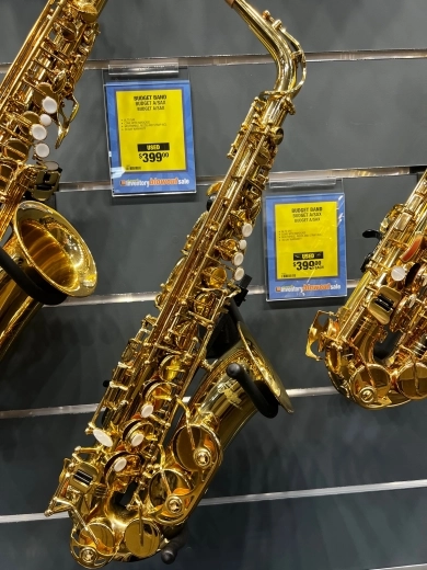 BUDGET ALTO SAXOPHONE