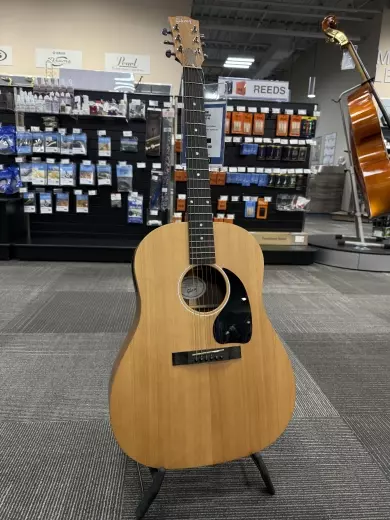 Gibson - ACG45SANNH 2