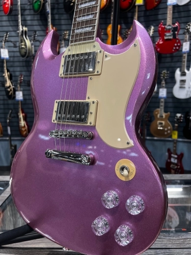 Epiphone - EGMUPPNH 2