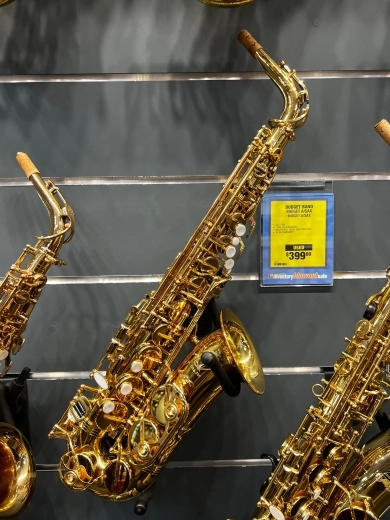 BUDGET ALTO SAXOPHONE