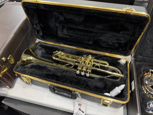 Store Special Product - Bach - TR300H2