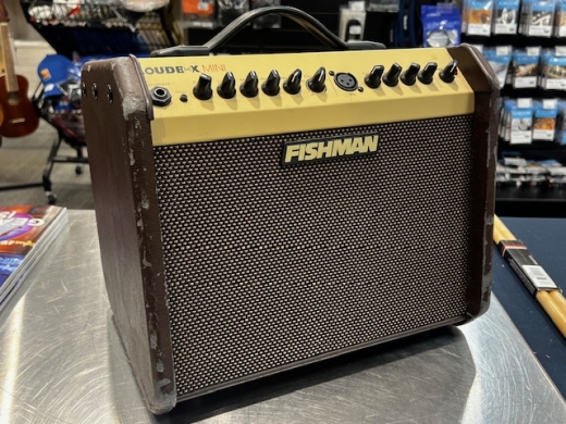 Fishman pro shop lbx 500