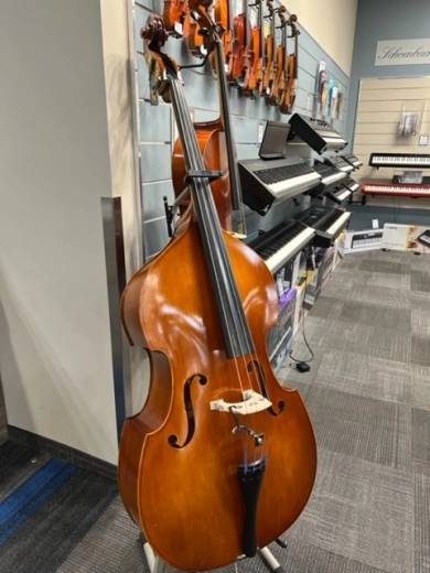 Eastman Strings - VB80ST 3/4 OF