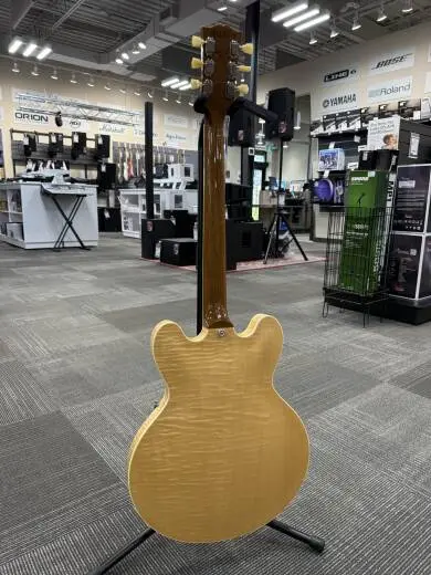 Gibson - ES35F00VNNH 2