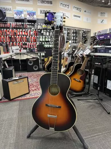 Epiphone - ETZRVSNH 2