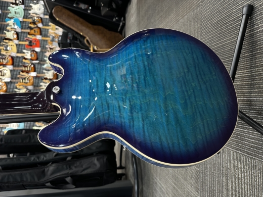 Store Special Product - Gibson - ES39F00BLNH