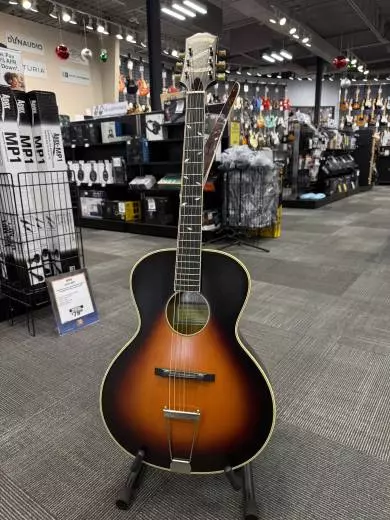 Epiphone - ETZRVSNH 2