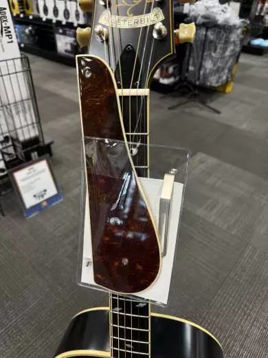 Epiphone - ETZRVSNH 2