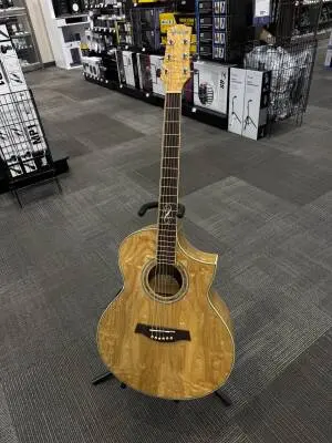IBANEZ EW20ASE-NT 2