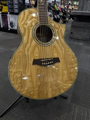 IBANEZ EW20ASE-NT