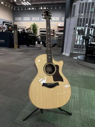 Taylor Guitars - 814CE STD 2