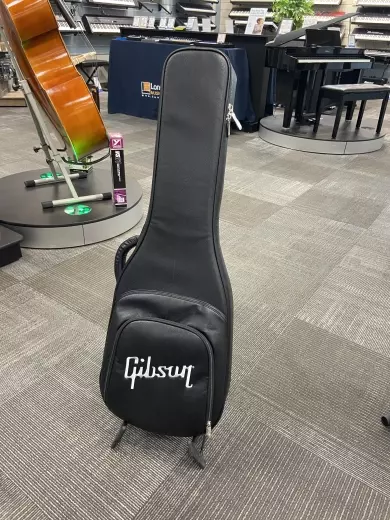 Gibson - GIBCASESC/BK