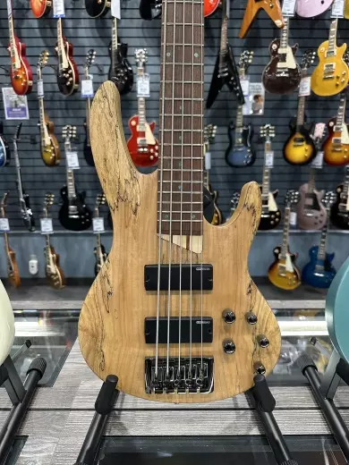 ESP Guitars - LB205SMFLNS