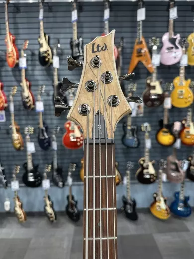 ESP Guitars - LB205SMFLNS 2