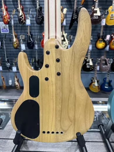 ESP Guitars - LB205SMFLNS 2