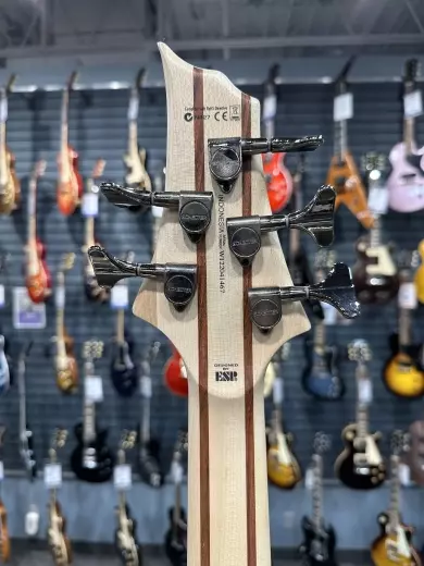 ESP Guitars - LB205SMFLNS 2