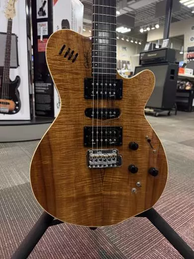 Store Special Product - Godin Guitars - G41497