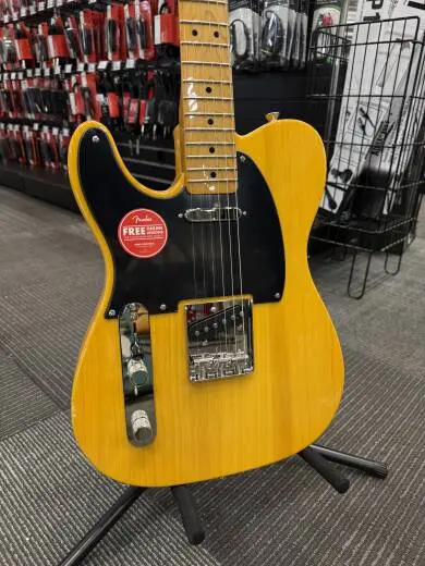 Squier - 037-4035-550