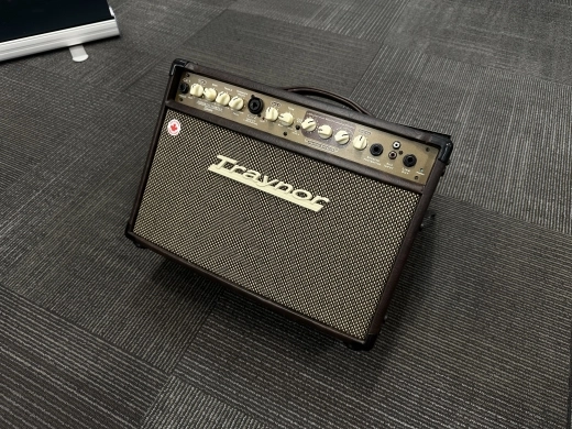 Store Special Product - Traynor - AMSTUDIO