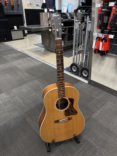 Store Special Product - Gibson - ACO35FANNH