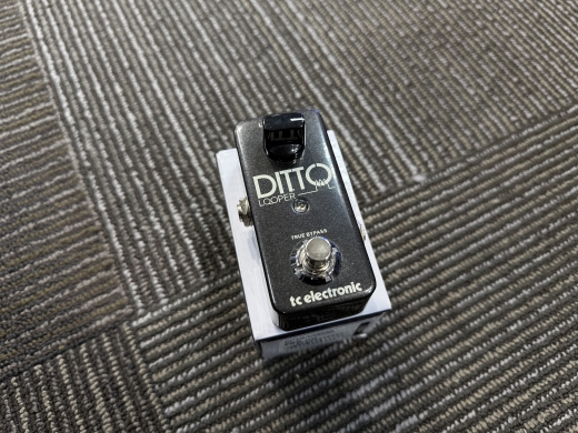 Store Special Product - TC Electronic - DITTO LOOPER