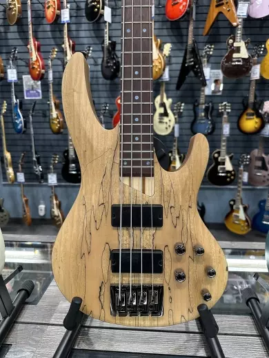 ESP Guitars - LB204SMNS