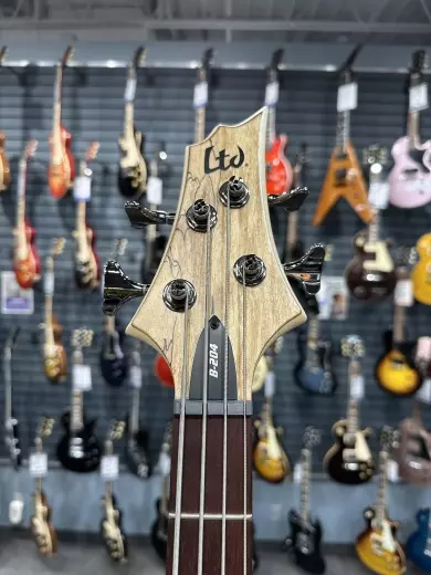 ESP Guitars - LB204SMNS 2