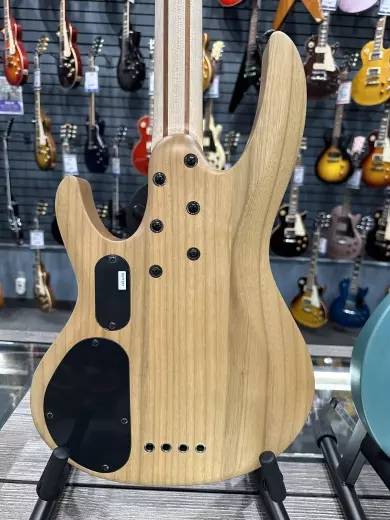 ESP Guitars - LB204SMNS 2