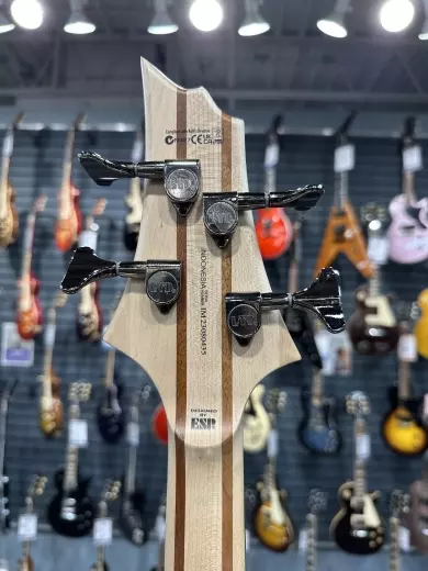 ESP Guitars - LB204SMNS 2