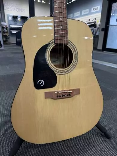 Store Special Product - Epiphone - DR100NACHLH