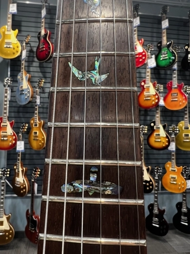 Paul Reed Smith - 106252:BG 5