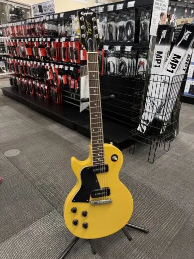 Epiphone - EILPTVNHLH 2