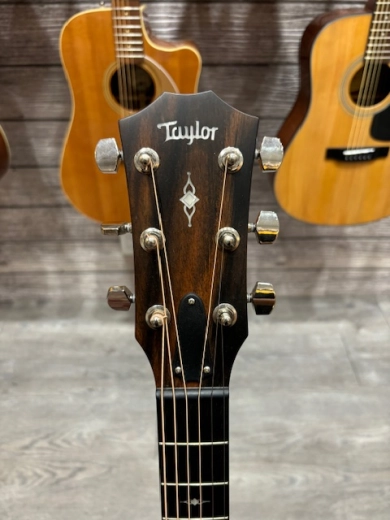 Taylor Guitars - 317E 5