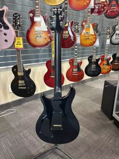 PRS - Custom 22 10 Top 2