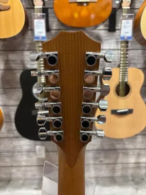 Taylor Guitars - 150E W V2 - 12 String Acoustic 6