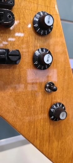 Gibson - DSVX00ANBH 4