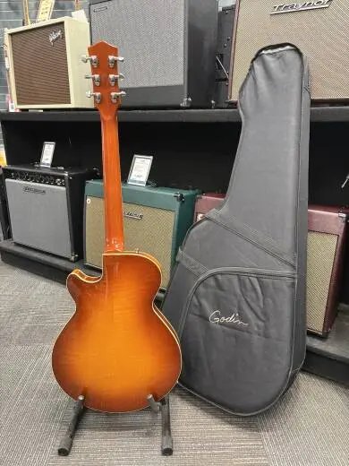 Godin Guitars - G39852 2